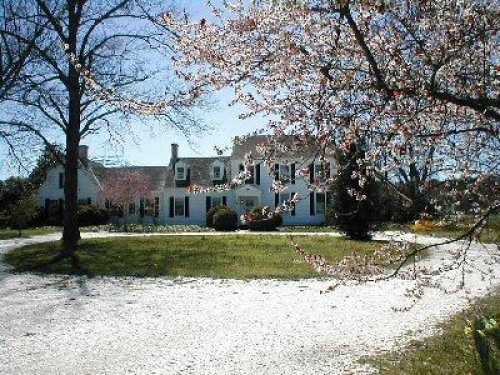 Montrose House Bed and Breakfast Montrose House Bed and Breakfast