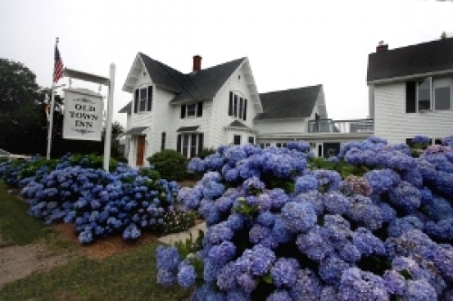 Old Town Inn Old Town Inn