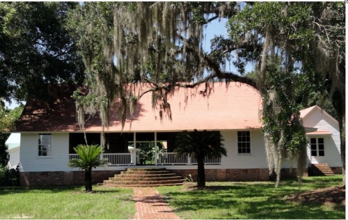 White Dog Plantation White Dog Plantation